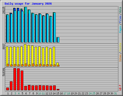 Daily usage for January 2026