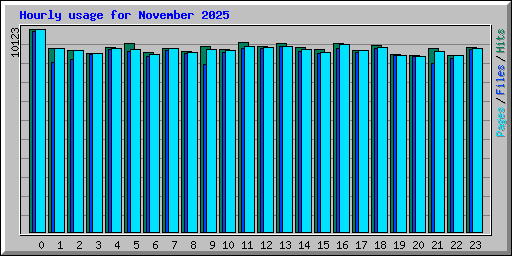 Hourly usage for November 2025