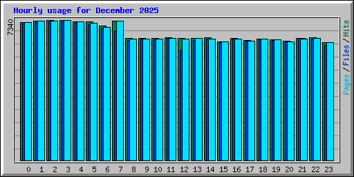 Hourly usage for December 2025