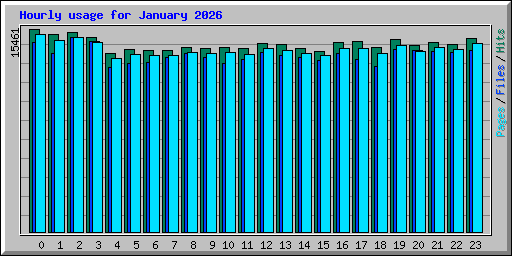 Hourly usage for January 2026