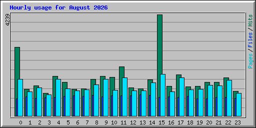 Hourly usage for August 2026